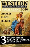 Western Dreierband 3040 (eBook, ePUB)