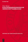 Elektronenmikroskopische Querschnittsabbildung