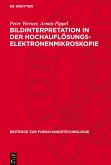 Bildinterpretation in der Hochauflösungs-Elektronenmikroskopie