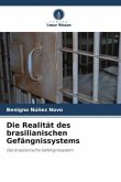 Die Realität des brasilianischen Gefängnissystems