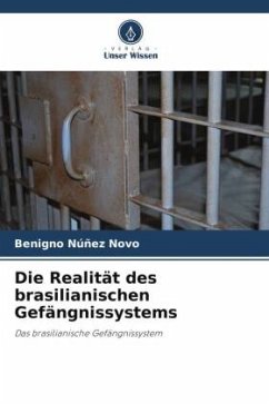 Die Realität des brasilianischen Gefängnissystems - Núñez Novo, Benigno