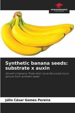 Synthetic banana seeds: substrate x auxin - Gomes Pereira, Júlio César