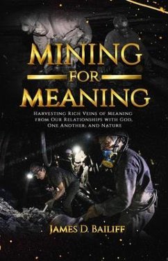 Mining for Meaning (eBook, ePUB) - Bailiff, James D.