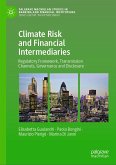 Climate Risk and Financial Intermediaries (eBook, PDF)