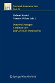 Punitive Damages: Common Law and Civil Law Perspectives (eBook, PDF)