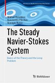 The Steady Navier-Stokes System (eBook, PDF)