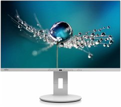 Fujitsu B2711 TE QHD 68,5 cm (27 Zoll) Monitor (QHD (2560 x 1440 Pixel), 5ms Reaktionszeit)