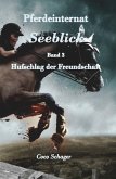 Pferdeinternat Seeblick Band 3 (eBook, ePUB)
