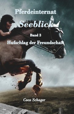 Pferdeinternat Seeblick Band 3 (eBook, ePUB) - Schager, Coco
