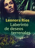 Laberinto de deseos terrenales (eBook, ePUB)