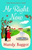 Mr Right Now (eBook, ePUB)
