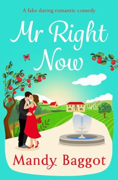 Mr Right Now (eBook, ePUB) - Baggot, Mandy