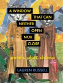 A Window That Can Neither Open Nor Close (eBook, ePUB)