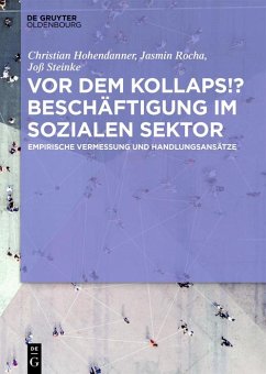 Vor dem Kollaps!? Beschäftigung im sozialen Sektor (eBook, ePUB) - Hohendanner, Christian; Rocha, Jasmin; Steinke, Joß