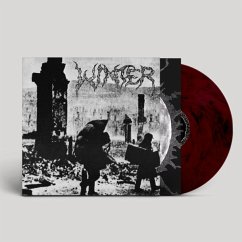 Into Darkness (Limited Transparent Violet/Black Ma - Winter