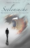 Seelensuche (eBook, ePUB)