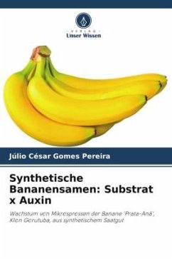 Synthetische Bananensamen: Substrat x Auxin - Gomes Pereira, Júlio César