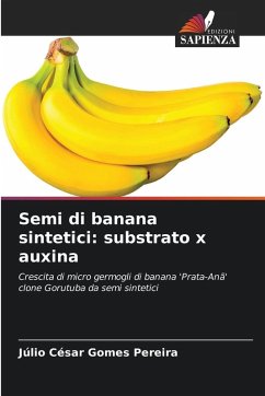 Cover Semi di banana sintetici