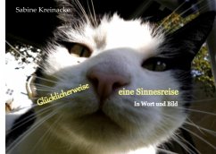 Glücklicherweise eine Sinnesreise - Kreinacke, Sabine