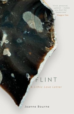 Flint (eBook, ePUB) - Bourne, Joanne