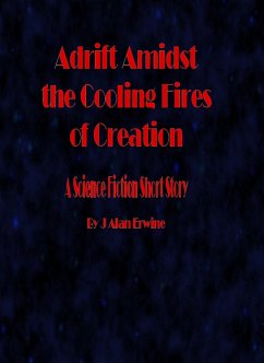Adrift Amidst the Cooling Fires of Creation (eBook, ePUB) - Erwine, J Alan