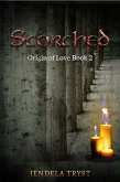 Scorched: Origin of Love Book 2 (eBook, ePUB)