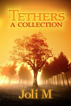 Cover Tethers (eBook, ePUB)