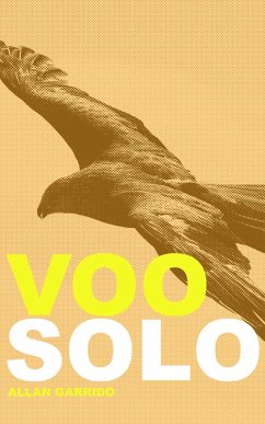 Cover Voo Solo (eBook, ePUB)