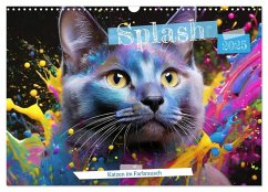 Splash - Katzen im Farbrausch (Wandkalender 2025 DIN A3 quer), CALVENDO Monatskalender - Calvendo;Verena Scholze, Fotodesign