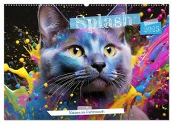 Splash - Katzen im Farbrausch (Wandkalender 2025 DIN A2 quer), CALVENDO Monatskalender - Calvendo;Verena Scholze, Fotodesign