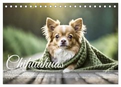 Chihuahuas - Kleine Hunde - große Temperamentbündel (Tischkalender 2025 DIN A5 quer), CALVENDO Monatskalender