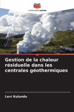 Gestion de la chaleur résiduelle dans les centrales géothermiques - Kulundu, Levi