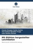 Mit Blähton hergestellter Leichtbeton