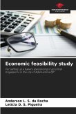 Economic feasibility study