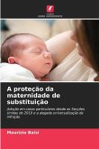 A proteção da maternidade de substituição