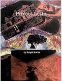 Project Lethe (eBook, ePUB)