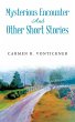 Mysterious Encounter And Other Short... - Bild 1