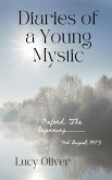 Diaries of a Young Mystic (eBook, ePUB)