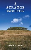 A Strange Encounter (eBook, ePUB)