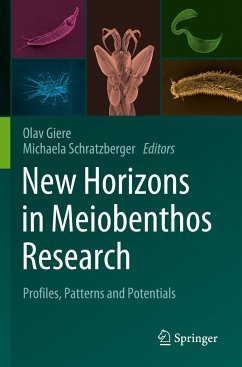 New Horizons in Meiobenthos Research