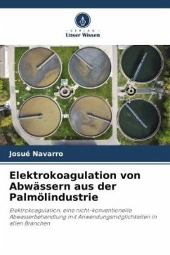 Elektrokoagulation von Abwässern aus der Palmölindustrie - Navarro, Josué