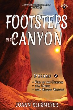 Fire in the Canyon and the Diary - Klusmeyer, Joann