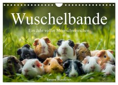 Wuschelbande - Ein Jahr voller Meerschweinchen (Wandkalender 2025 DIN A4 quer), CALVENDO Monatskalender - Calvendo