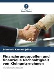 Finanzierungsquellen und finanzielle Nachhaltigkeit von Kleinunternehmen