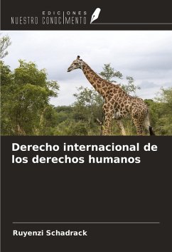 Cover Derecho internacional de los derechos humanos