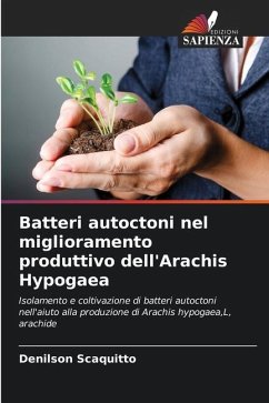 Batteri autoctoni nel miglioramento produttivo dell'Arachis Hypogaea - Scaquitto, Denilson