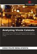 Analyzing Vinnie Colaiuta - Bild 1