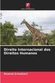 Direito Internacional dos Direitos Humanos