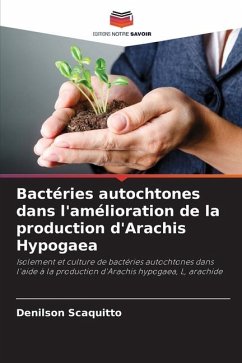 Bactéries autochtones dans l'amélioration de la production d'Arachis Hypogaea - Scaquitto, Denilson