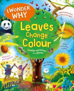 I Wonder Why Leaves Change Colour - Charman, Andrew